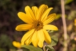 DSC_3380_1920