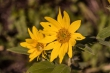 DSC_3410_1920