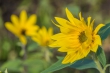 DSC_3422_1920