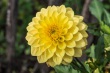 DSC_5734_1920