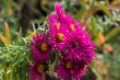 DSC_5737_1920