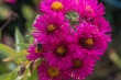DSC_5740_1920