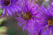 DSC_5741_1920