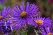 DSC_5742_1920