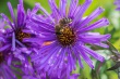 DSC_5744_1920