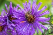 DSC_5745_1920