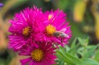 DSC_5746_1920