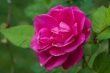 DSC_5753_1920