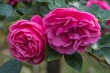 DSC_5763_1920