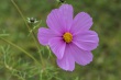 DSC_5773_1920