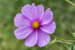 DSC_5776_1920