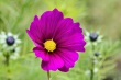 DSC_5777_1920