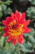 DSC_5792_1920