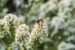 DSC_5798_1920