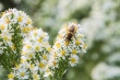 DSC_5799_1920
