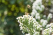DSC_5802_1920