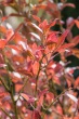 DSC_5804_1920