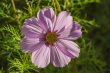 DSC_5880_1920