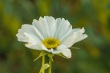 DSC_5885_1920