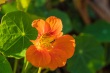 DSC_5896_1920