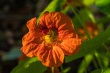 DSC_5898_1920