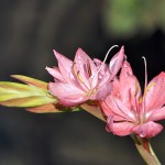 Herbst 2012