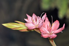 Herbst 2012