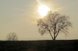 Novembersonne