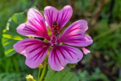 Herbstbilder2022