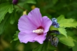 DSC_2047_1920