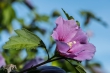 DSC_2094_1920