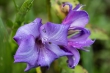 DSC_2150_1920