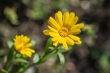 DSC_2549_1920