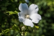 DSC_2577_crop_1920