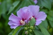 DSC_1246_1920