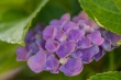 DSC_1259_1920