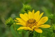 DSC_1292_crop_1920