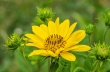 DSC_1293_crop_1920
