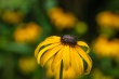 DSC_1303_1920