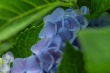 DSC_1325_1920