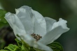 DSC_1330_1920