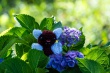 DSC_1350_1920