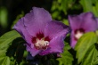 DSC_1373_1920