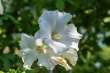 DSC_1377_1920