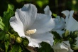 DSC_1380_1920