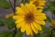 DSC_1455_1920