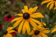 DSC_1471_1920