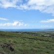 IMG_2447_1024