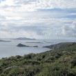 IMG_2849_1024