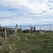 IMG_2859_1024